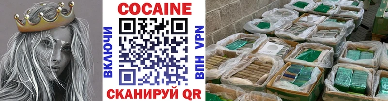 купить закладку  Светлогорск  ссылка на мегу вход  Кокаин Fish Scale 
