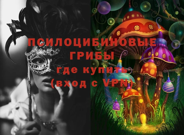 spice Мензелинск