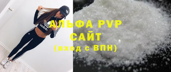 гашик Семилуки