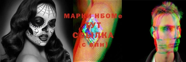 гашик Семилуки