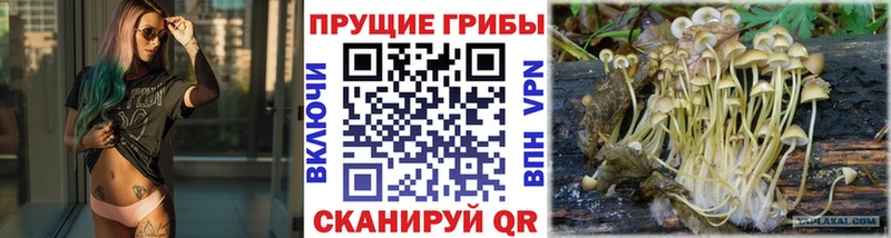 Галлюциногенные грибы мухоморы Светлогорск