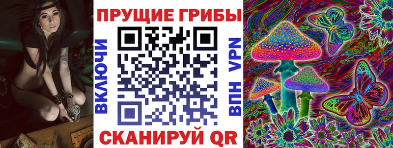 где купить наркоту  mega как войти  Псилоцибиновые грибы GOLDEN TEACHER  Светлогорск 